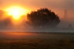 Sonnenaufgang - Zum Vergroessern klicken!